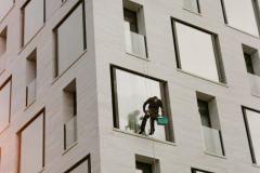 pexels-photo-29613998