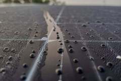 pexels-photo-30308826