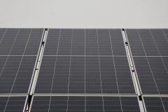 pexels-photo-31455879