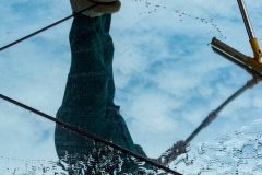 pexels-photo-33119305